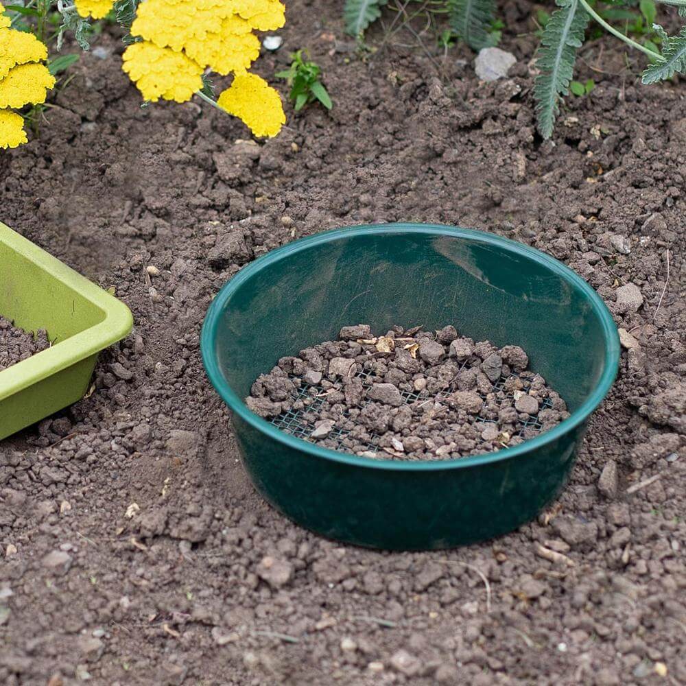 Green garden sieve filled with soil on a garden bed with yellow flowers.