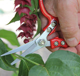 Cutting garden snips with red handles