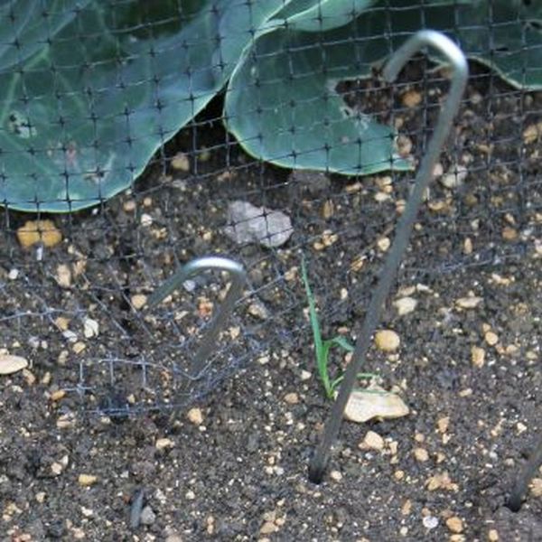 Galvanised Steel Garden Pegs