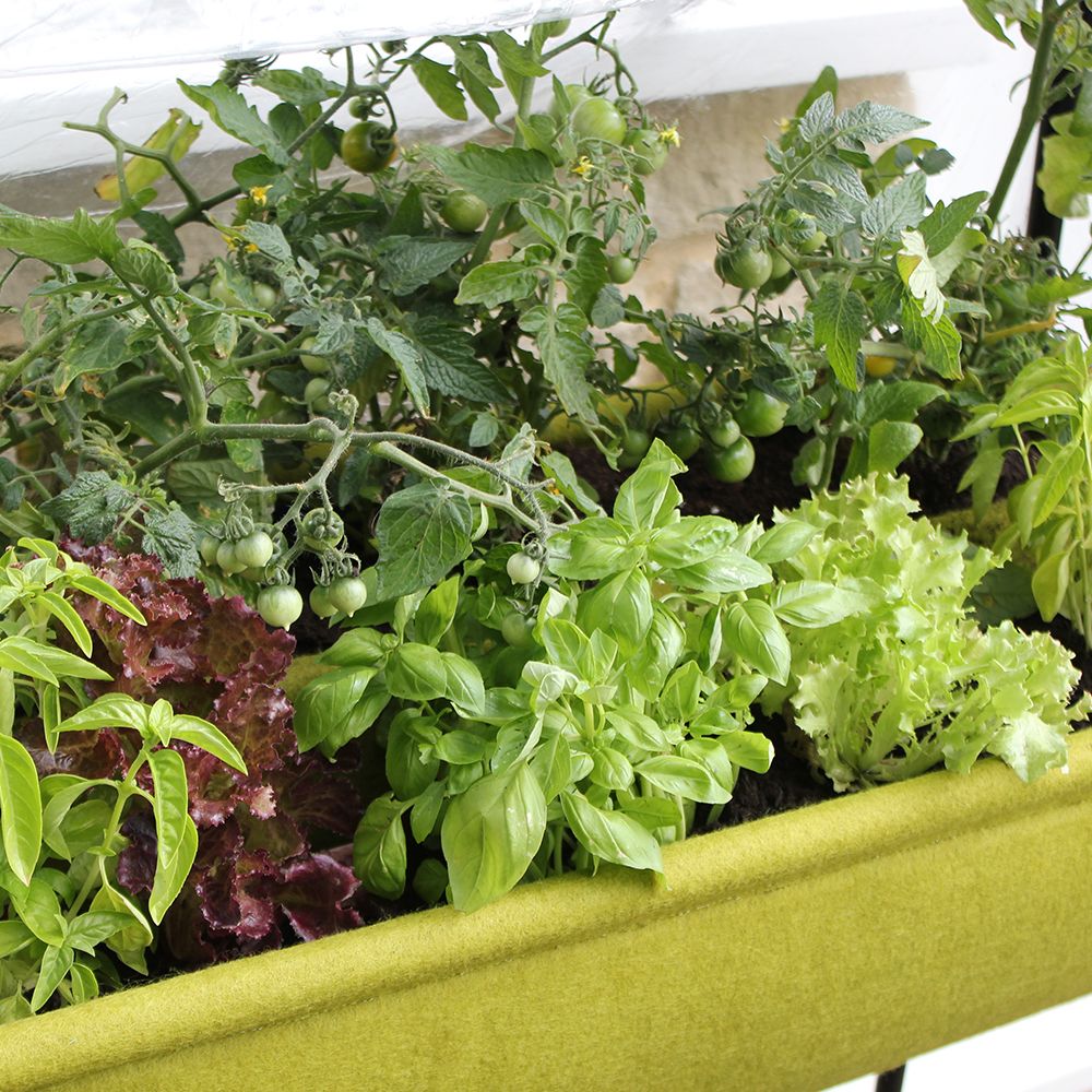 Vigoroot Easy Garden Table Planter