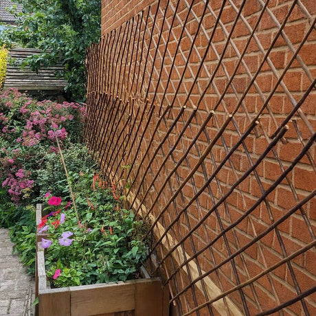 Brick wall with trellis next to a garden with flowers and plants.