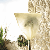 small frost protection bag on a small plant by wall