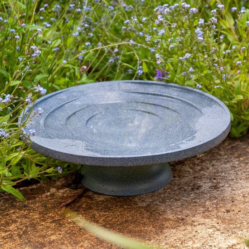 Bird Bath & Drinker 'Water is Life'