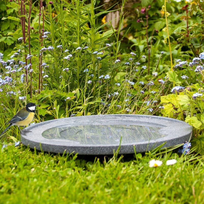Bird Bath & Drinker 'Water is Life'