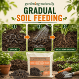 Promotional graphic for gardening-naturally gradual soil feeding blood and bone manure pellets, showing a 3-step process of spreading, watering, and the pellets breaking down over time, with a bag of the product and loose pellets in a garden setting.