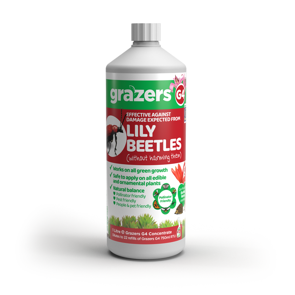 grazers lily beetle litre concentrate