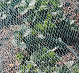 Green Bird Netting for Fruit and Vegetables