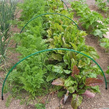 green garden hoops in garden shown over carrots and beetroot