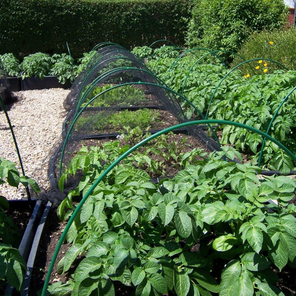 flexible green hoop tunnels