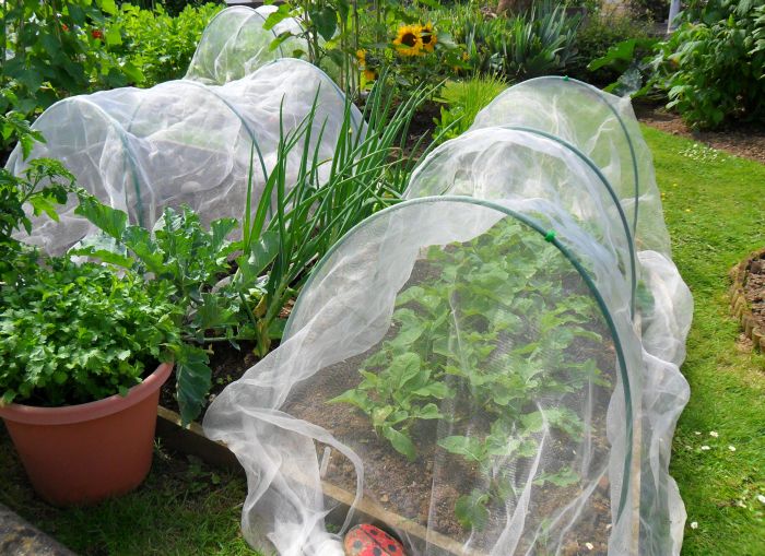 Flexible Garden Tunnel Kits with Fleece or Netting