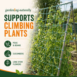 Climbing plant support netting, showing a green netting trellis set up in a garden with peas, beans, cucumbers, and long stem flowers growing along it