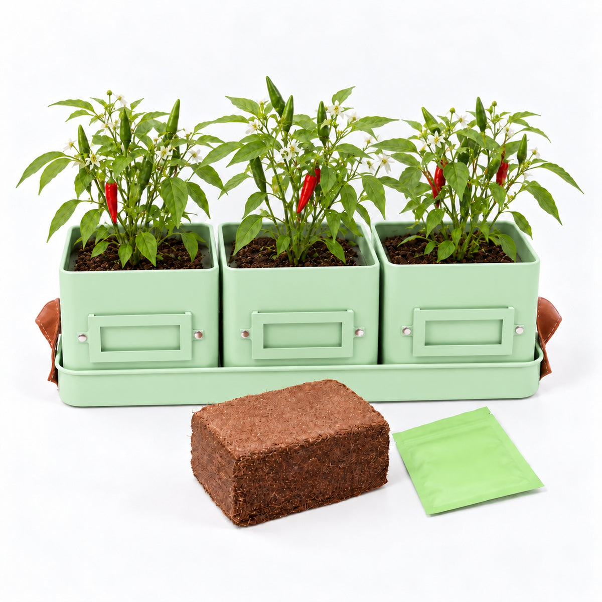 Herb or Chilli Pot sets for the Kitchen, Grey, Buttercream or Green