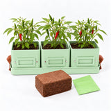 Herb or Chilli Pot sets for the Kitchen, Grey, Buttercream or Green