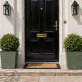 Black door with gold handle and mail slot, flanked by two green planters on a light-colored wall.