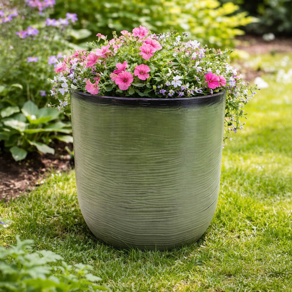 green small round flowerpot