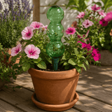 Green bulb-shaped plant waterer in a pot with pink flowers on a wooden surface