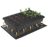 Heatmat being used with seed tray with seedlings in it