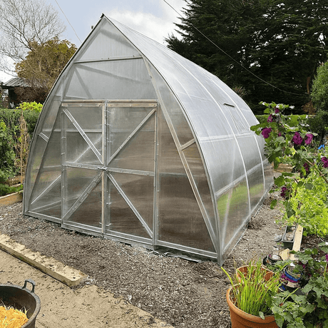 Clear polycarbonate greenhouse in a garden setting