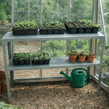 greenhouse staging with seedlings in a greenhouse setting