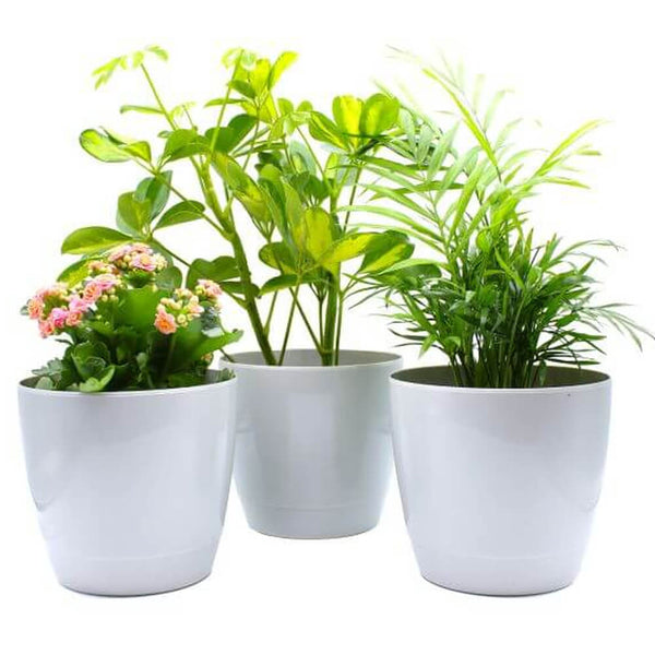 indoor plant pots amazon Indoor Plant Pot Round Gardening Naturally