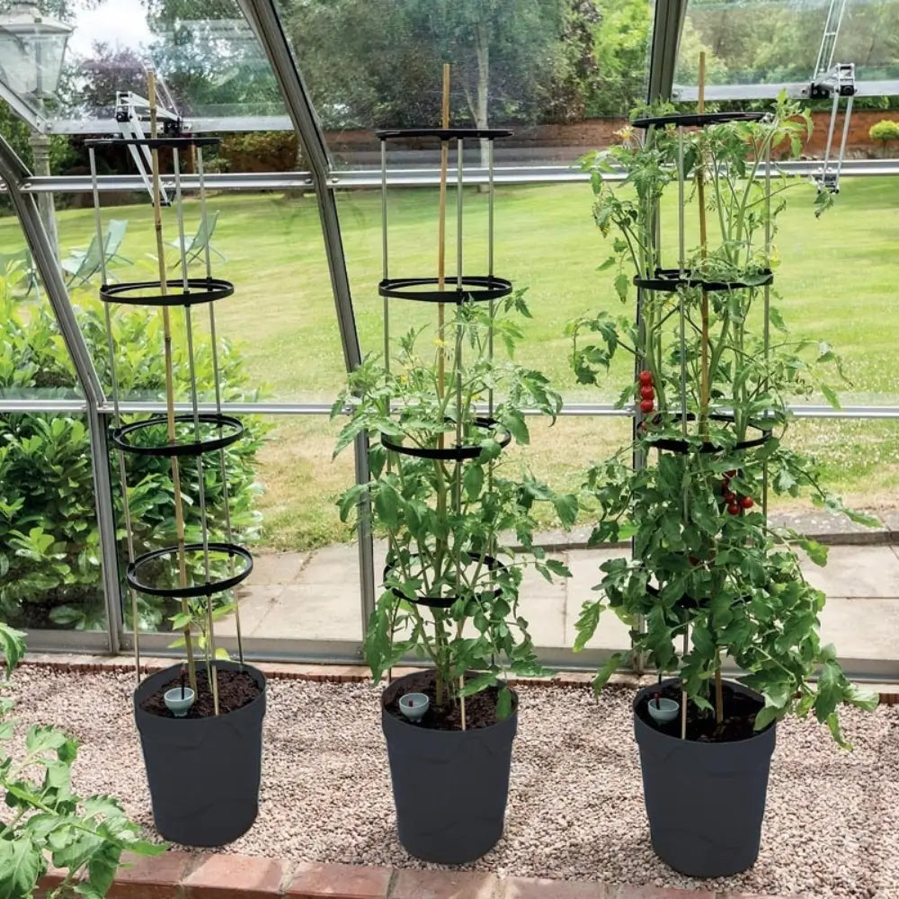 rolling self-watering tomato planter and rust-resistant tower Self-Watering Grow Pot Tower Anthracite – Gardening Naturally