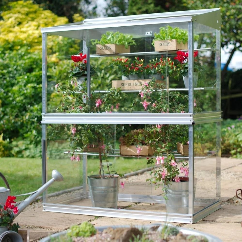 Mini Greenhouse Growhouses