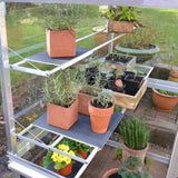 Mini Greenhouse Growhouses