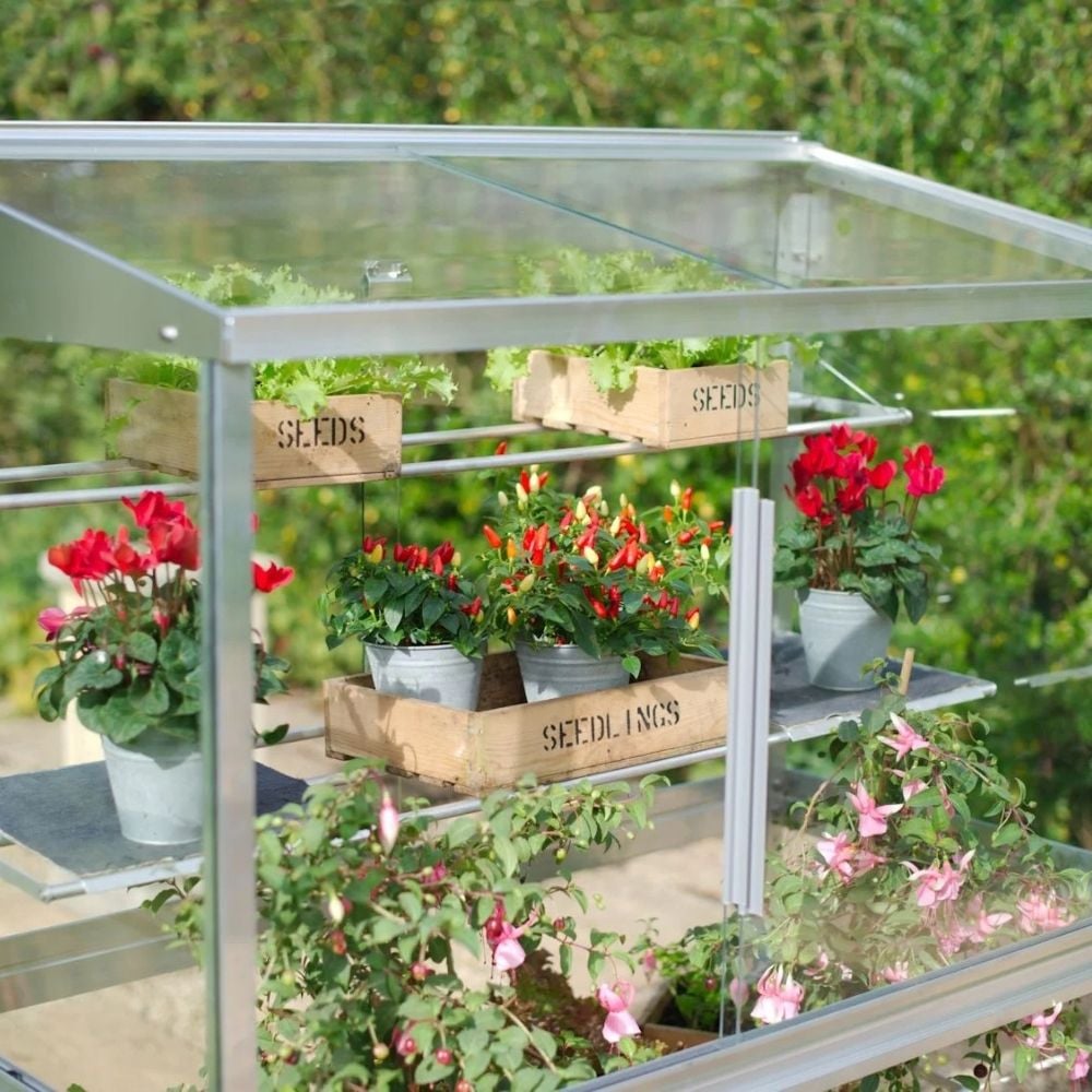 Mini Greenhouse Portable Grow house - Gardening Naturally