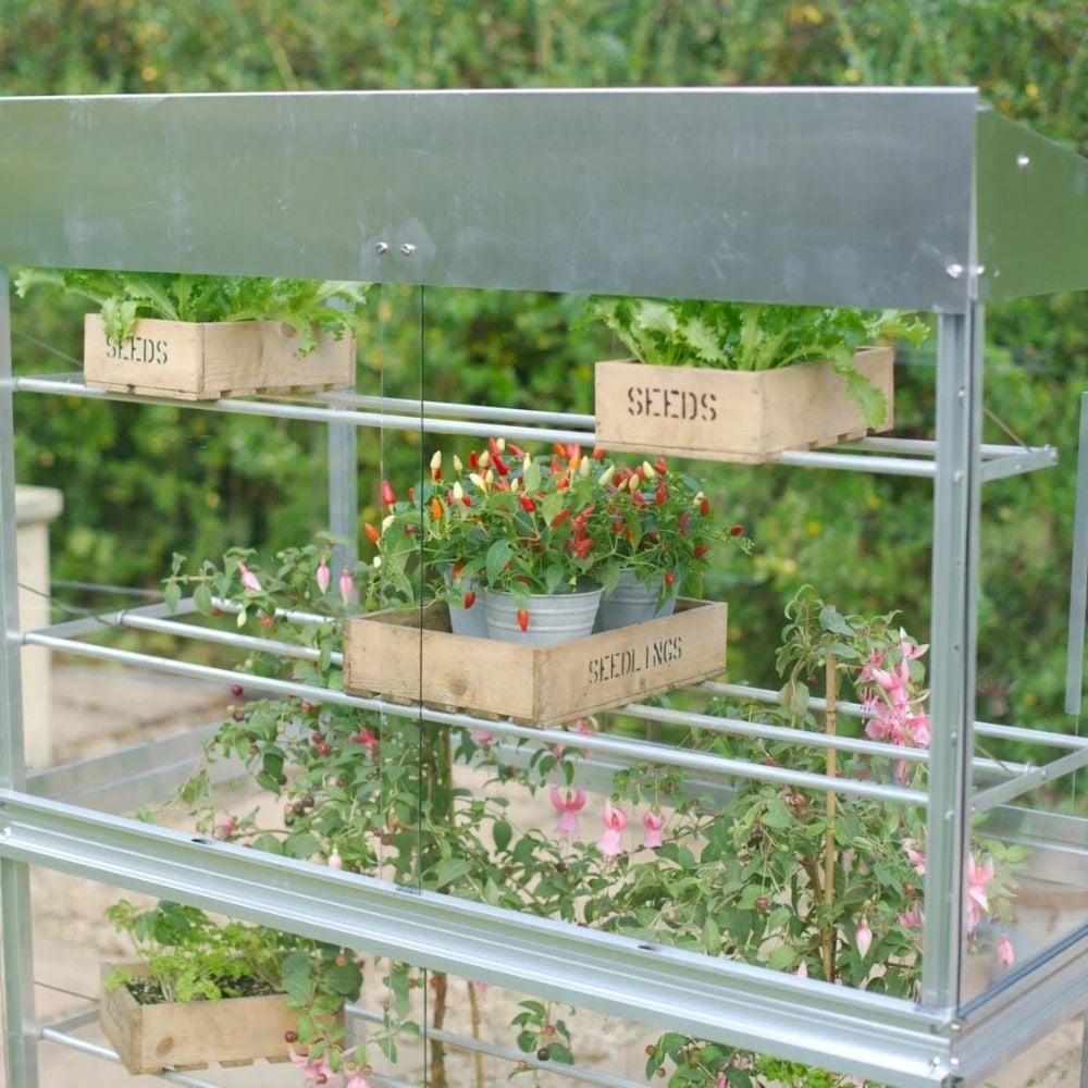 Mini Greenhouse Growhouses