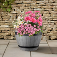 grey planter with flowers barrell effect