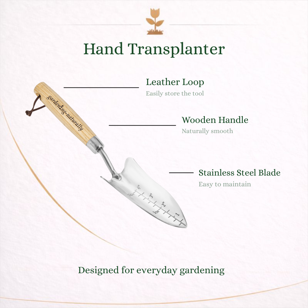 Garden Transplanter Tool for Seedlings and Young Plants
