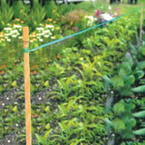 Garden with plants and a wooden stake with bird scare tape