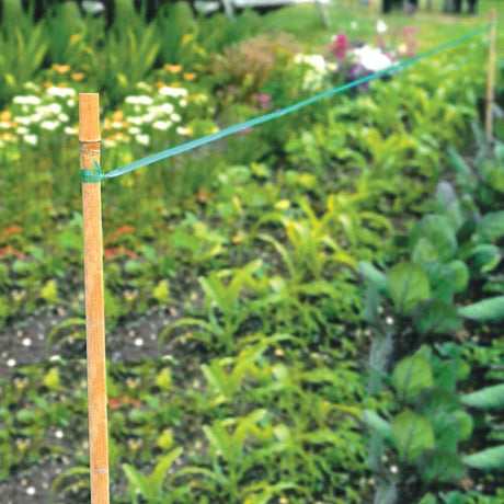 Garden with plants and a wooden stake with bird scare tape