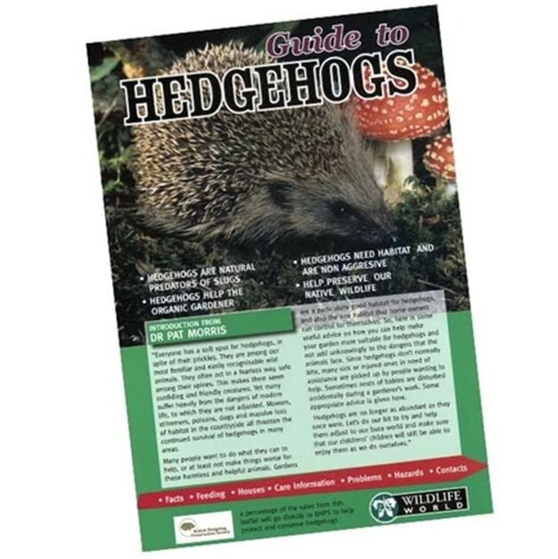 How to Look After Hedgehogs Gardening Naturally