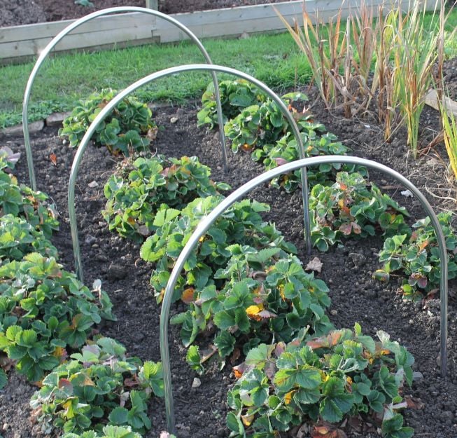 Small High Top Hoop Tunnel Kits With Garden Netting - HTTS