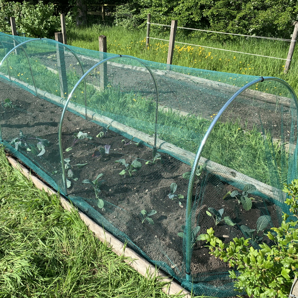 Small High Top Hoop Tunnel Kits With Garden Netting - HTTS