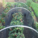 A hoop tunnel garden kit with bird netting installed over a garden bed, designed to protect plants.
