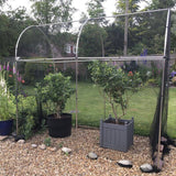 A fruit cage in  garden with pots in it and bird netting over the hooped cage