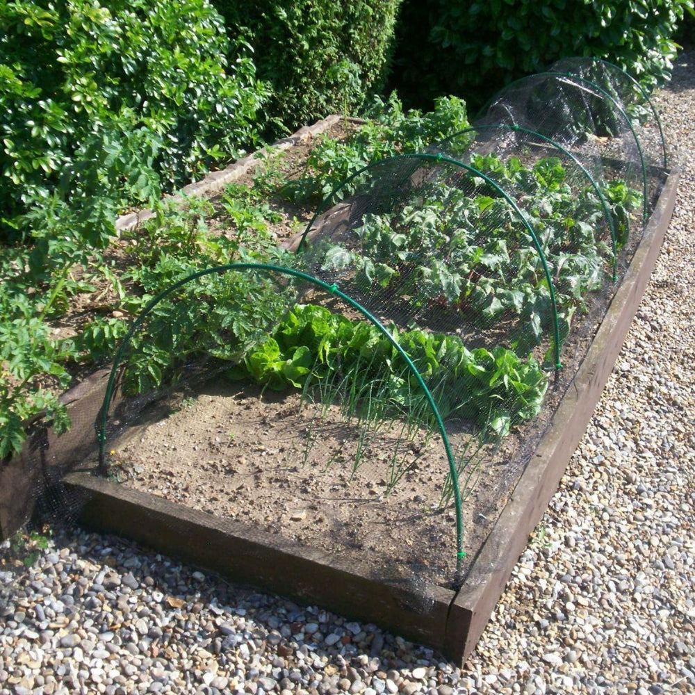 butterfly netting on hoops