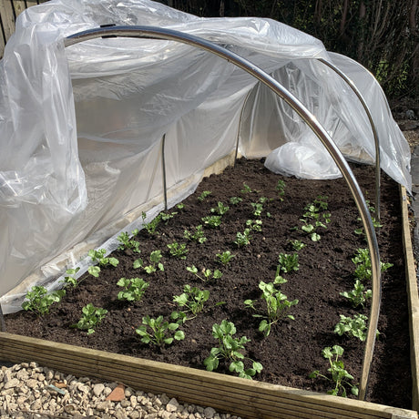 Garden hoops over a raised bed with polythene