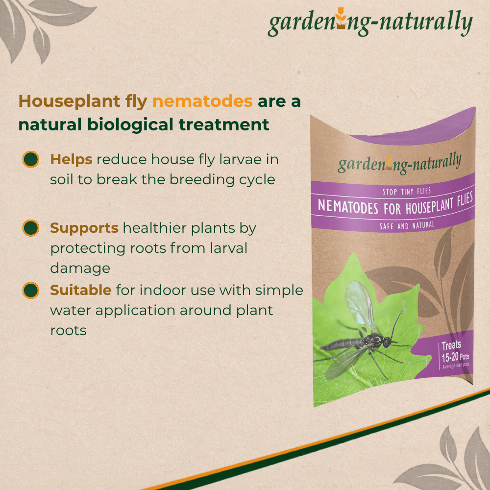 Package of garden-naturally houseplant fly nematodes with text on a beige background