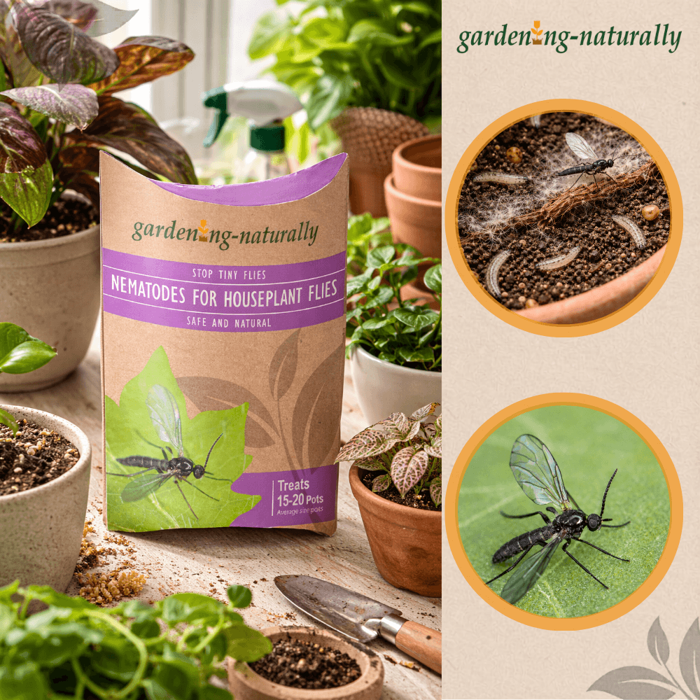 Gardening Naturally product packaging with plant pots and gardening tools on a table.