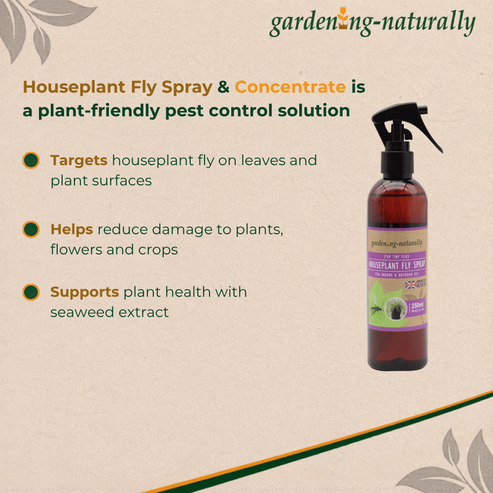 Houseplant fly spray and concentrate with a bottle on a beige background, featuring the brand 'gardening-naturally'.
