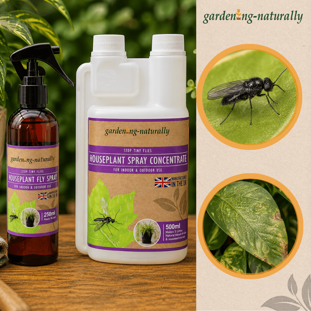 Houseplant spray concentrate and fly spray bottle with gardening-themed packaging.