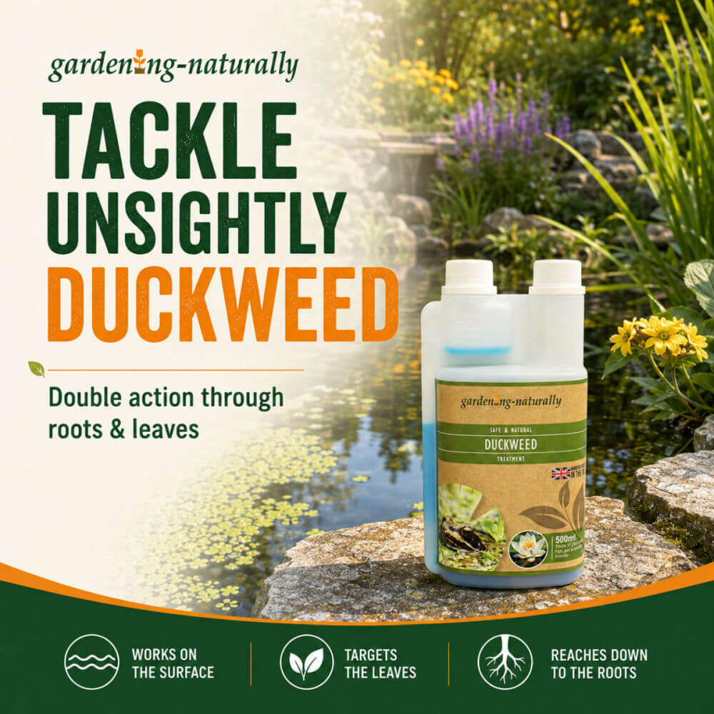 Duckweed Treatment for Garden Ponds 500ml