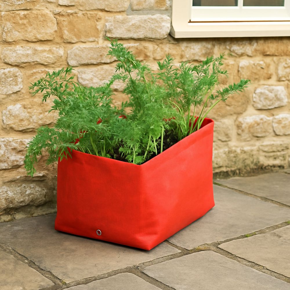 Orange planter with carrot plants against a stone wall.