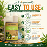 Barley Straw Extract Natural Pond Treatment