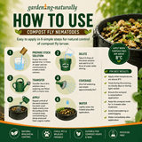 Infographic on how to use compost fly nematodes for gardening