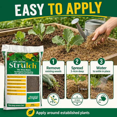 Strulch Dual Action Straw Mulch bag shown in a gardening scene with a hand spreading mulch around plants. The graphic includes the text 'EASY TO APPLY' and three step panels showing how to apply the mulch.