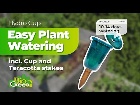 Hydrocup easy watering stake poster